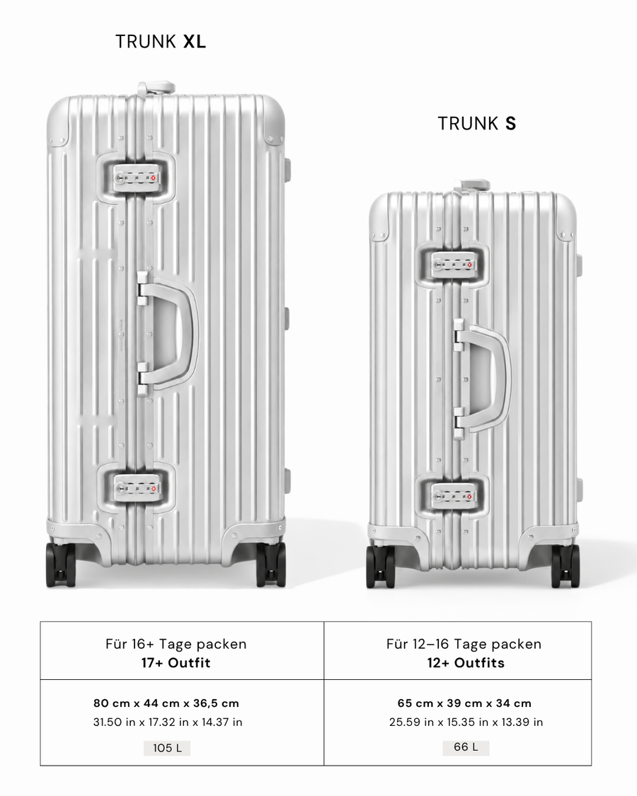 Altair Trunk Silver — dimensions